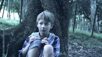 国产正太视频出售,青春洋溢的视觉盛宴  第2张